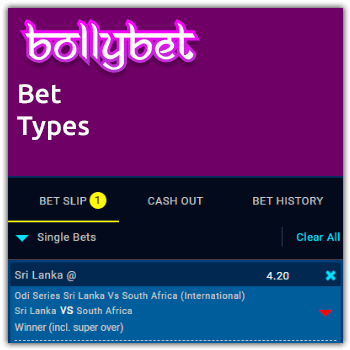 bet types at bollybet