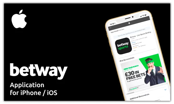 What Everyone Ought To Know About betway app