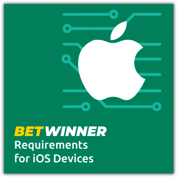 BetWinner app device Requirements