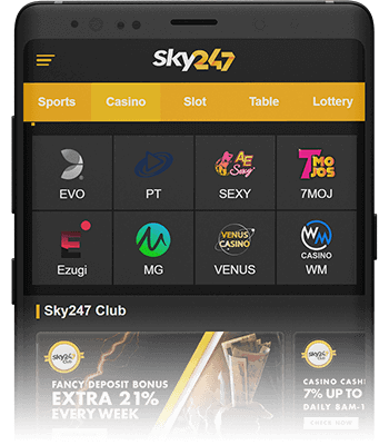 sky247 mobile version