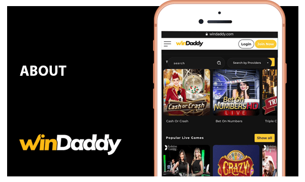Information about Windaddy App