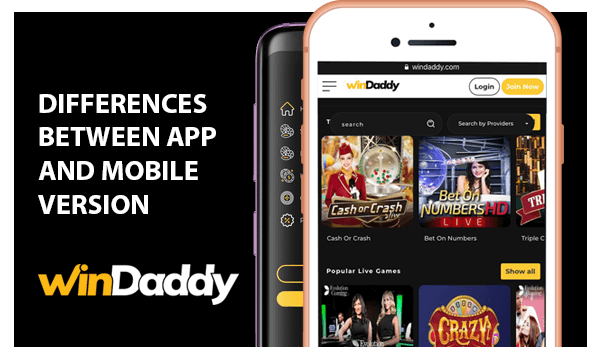 Table with Differences between Windaddy App and Mobile Version