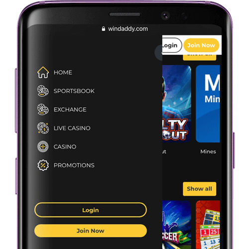 Information about Windaddy Mobile Website