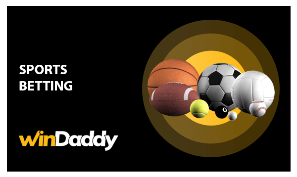 Short Information about Sports Betting at Windaddy App
