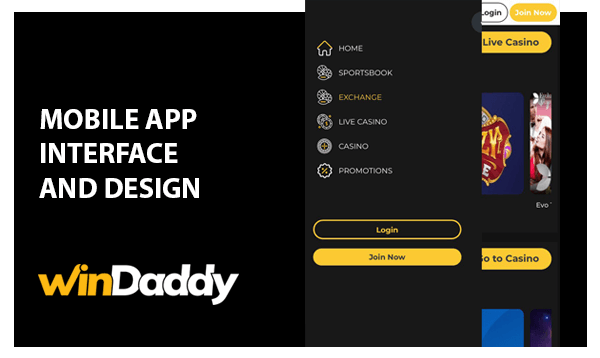 Short Information about Windaddy Mobile App Interface and Design