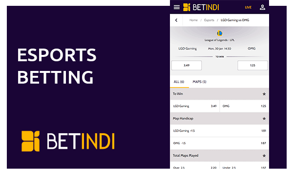 betindi app esports betting