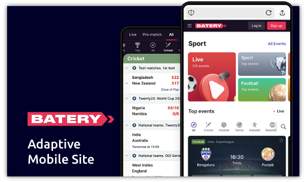 The mobile version of the Batery website is perfectly adapted for small smartphone screens, and it is an alternative to the branded app